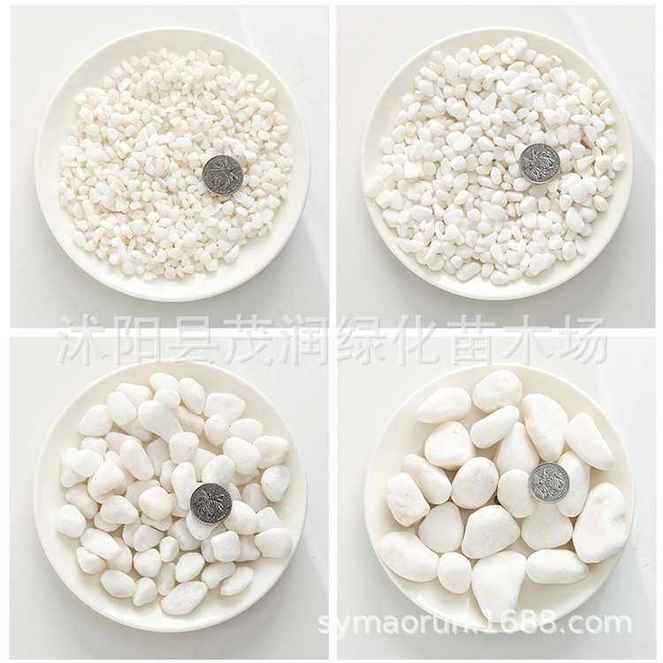 白石子鹅卵石白石头汉白玉彩石园艺盆栽石头多肉铺面庭院造景