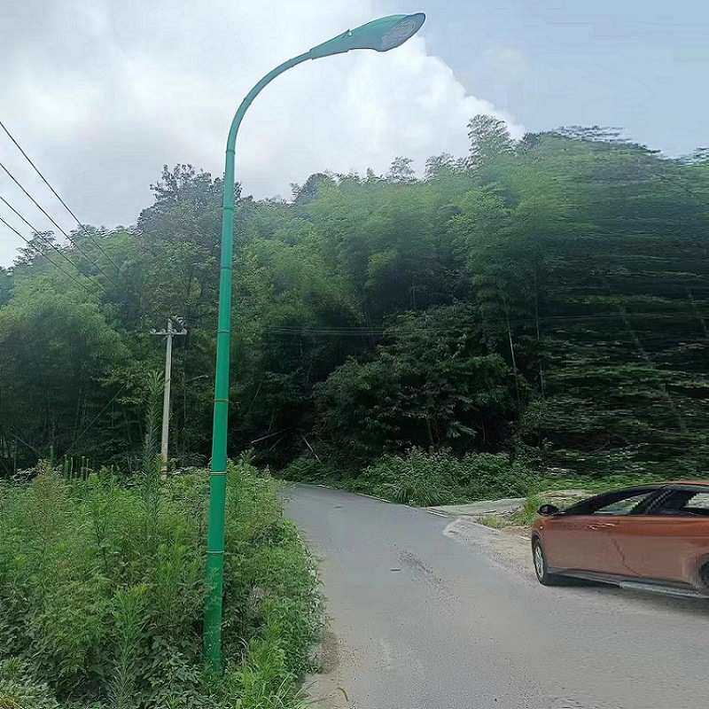 LED路灯竹子市电道路照明220V景观景区灯具6米工程节能路灯杆