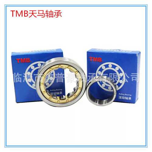 TMB/ 轴承NJ2218EM高精度圆柱滚子轴承通用轴承