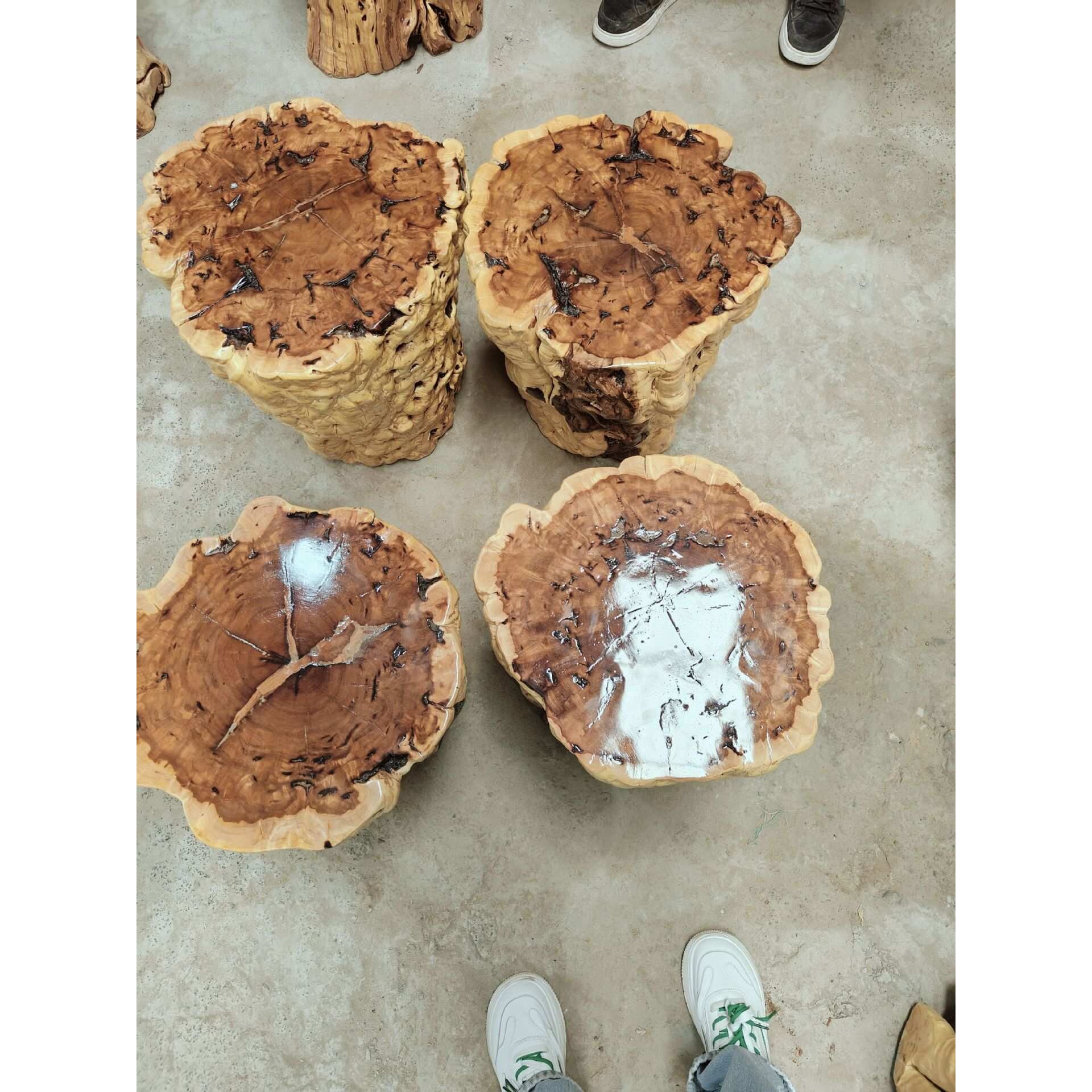 枣木墩原木树墩根雕凳子木桩花架底座枣木墩子自然留疤木凳子