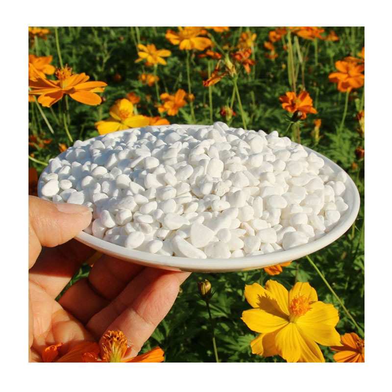 一体白色汉白玉雪花白砾石纯白石子铺路枯山水鱼缸造景河北