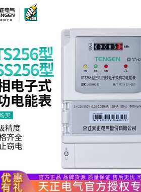 TENGEN天正DTS256三相四线电表电子互感式有功工业厂房电能表380V
