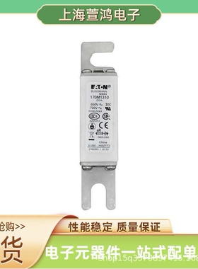 170M5725 170M5732 170M5733 170M5734原厂 低压熔断器直流熔芯