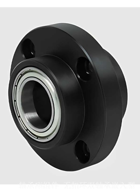 BGRYB钢无扣环双轴承座嵌入定位固定SBARY6805 6905 60056205BARY