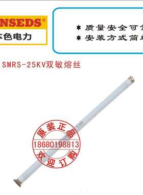 BS SMRS-25KV双敏熔丝