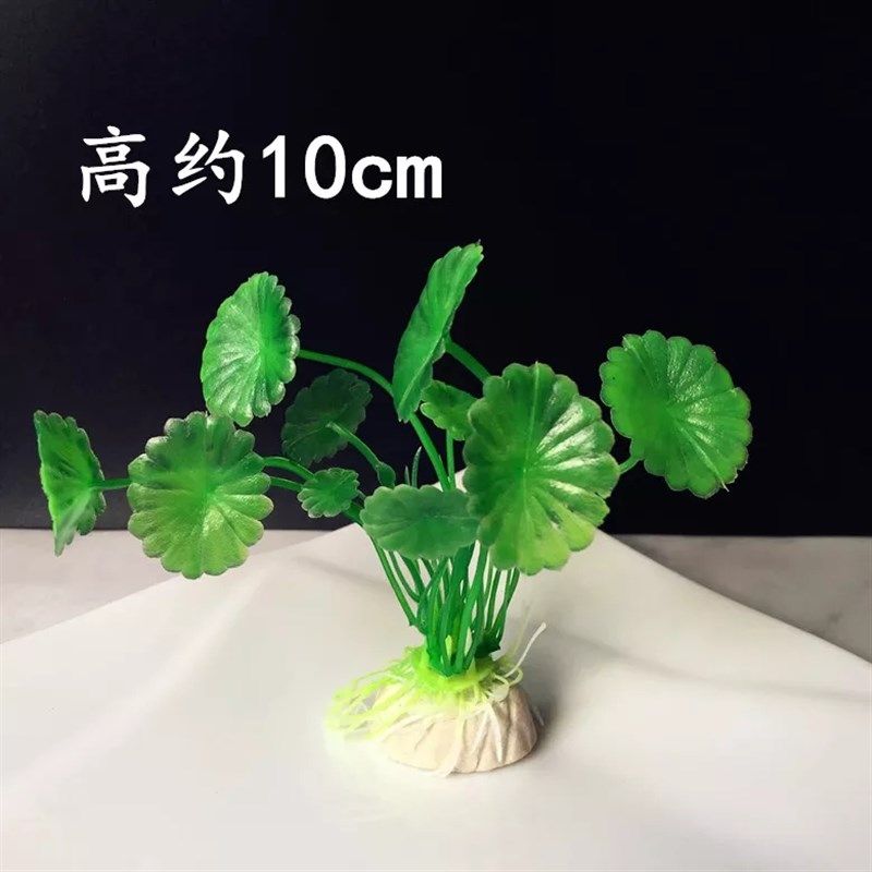 酒店盘品摆盘装饰创意点缀花草刺意菜饰围边身境菜肴拼盘喜宴冷菜