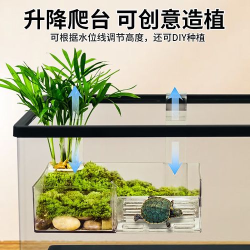乌龟饲养缸带升降晒台爬台家用龟鱼混养缸养乌龟小型鱼缸造景别墅