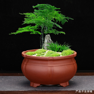 宜兴紫圆花盆仿古砂形桌面兰草多肉菖蒲老桩绿植盆客厅盆包盆景邮