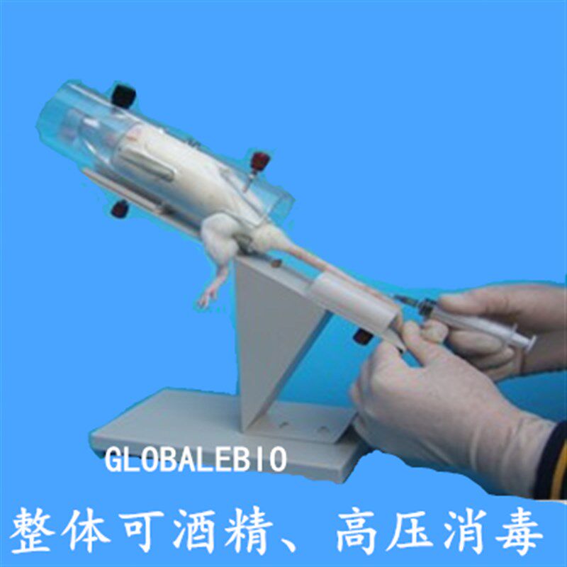 大鼠固定器尾静脉注射针白固定筒架大灸鼠不锈腔保定器腹钢固定板