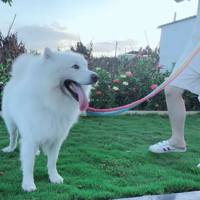 头变彩色狗小 狗猫绳子中大型犬宠物柴犬斜挎双头渐一拖二牵引绳