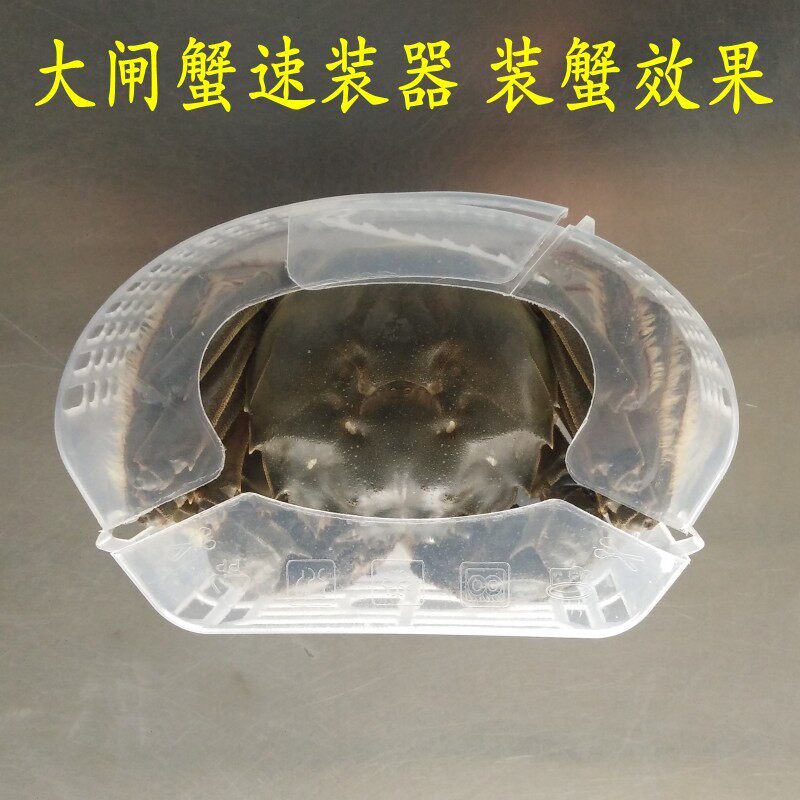 绑蟹 器神大闸蟹速装螃 器蟹速装盒 河蟹塑料包装盒 免捆绑蟹棉绳