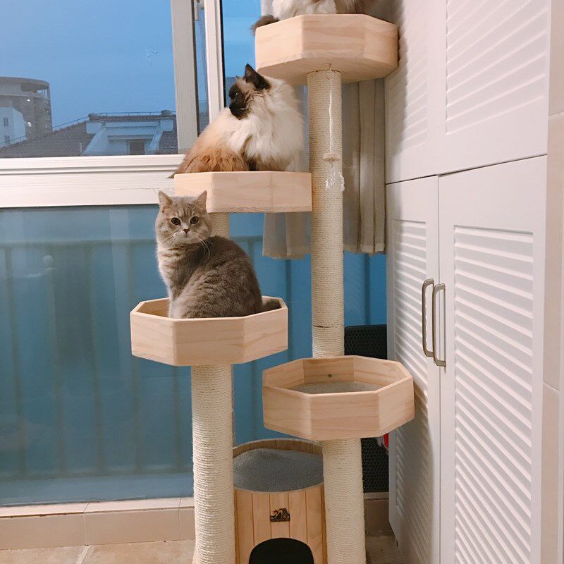 墨菡实木大型猫爬架高低多层木质猫架剑麻绳进口松木猫窝猫树一体