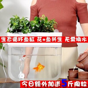 免换水生态金鱼缸客厅家用桌面小型鱼菜共生系统花沐水懒人鱼族