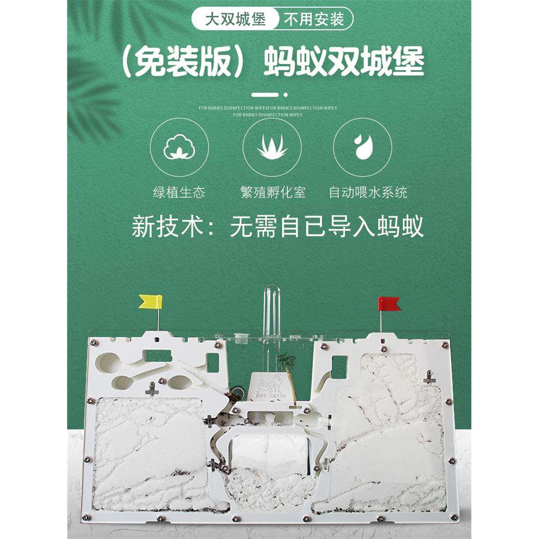 双蚂蚁城堡桌园生态小宠物蚁巢笼子工坊家园部落庄园学生可喂食物
