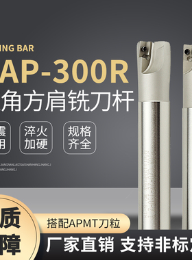 铣刀杆BAP300R-C10/C12/C16/C19-10/11/12/13/14/16-120/150-2T