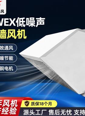 DWEX边墙风机壁式风机低噪声工业厂房通风换气机220V380V网罩风机