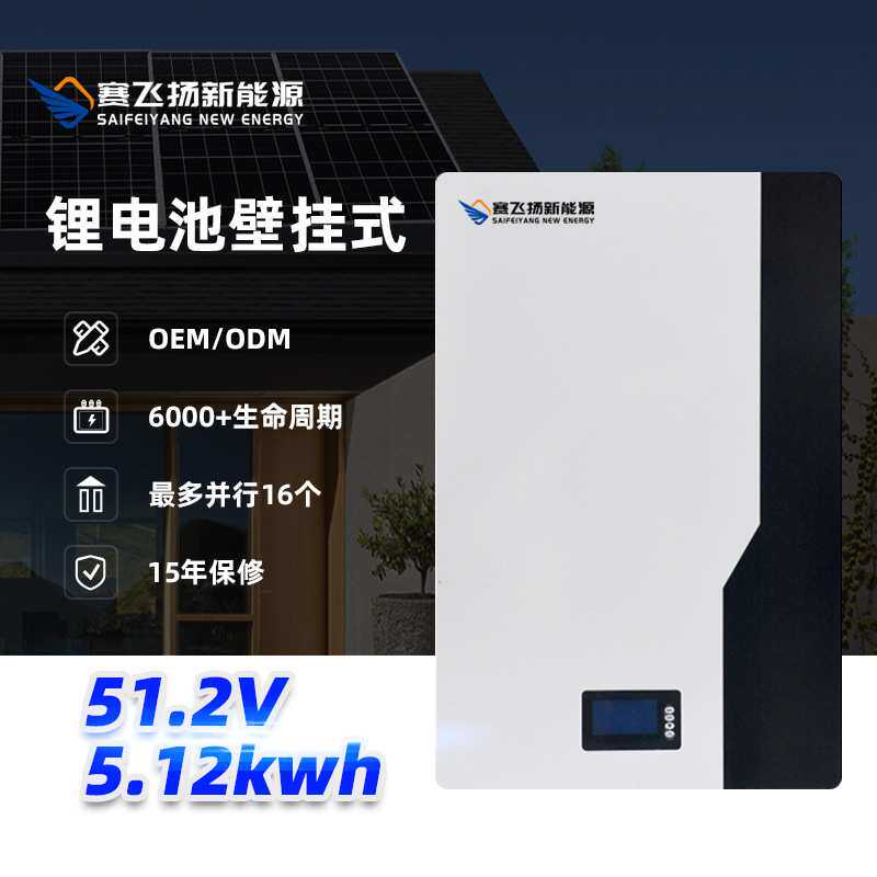 51.2V 5.12kWh 10.24kwh 壁挂式磷酸铁锂户用太 阳能储能电池组
