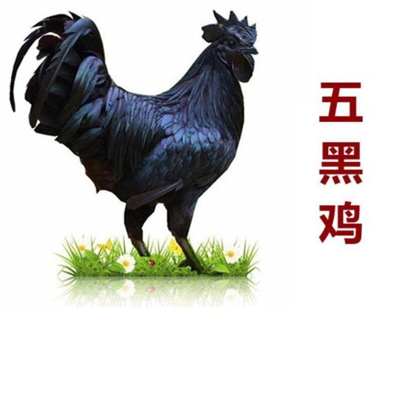 农家土鸡蛋五黑一绿乌鸡蛋草鸡蛋乌鸡蛋40枚