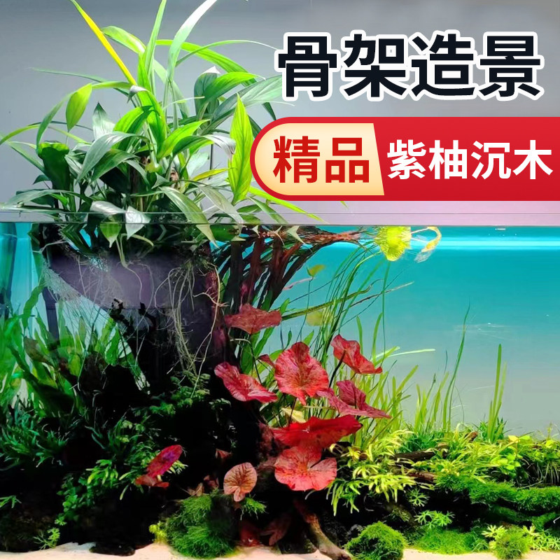 鱼缸造景天然沉晒秒沉精品紫柚观水族微景木龟缸虾缸躲避木台木头