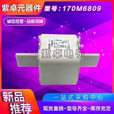 170M5808 170M5809 170M5810 170M5811 巴斯曼快速熔断器 保险丝