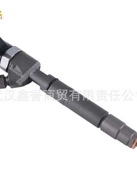 0445110103 0445110104共轨喷油器总成喷油嘴  适用于柴油发动机