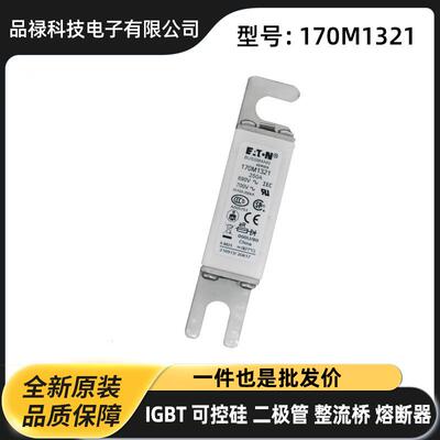 170M1561D 170M1562D 170M1563D 170M1564D原厂快速熔断器 保险丝
