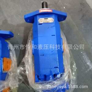 供应泊姆克双联齿轮油泵 1165041010  龙工855E转向泵