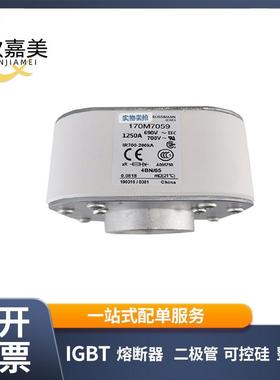 170M7059 170M7060 快速熔断器 保险丝 电子元器件 量大价优