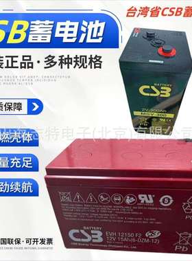 CSB蓄电池XTV121000耐寒冷高温12V100AH UPS太阳能 希世比蓄电池