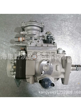 喷油泵 0460414160和0460414217和196000-4191 22100-5D230