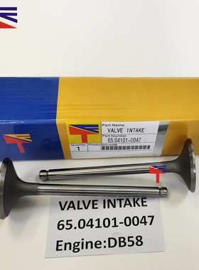 进气门 65.04101-0047 适用于工程机械 DB58 发动机配件