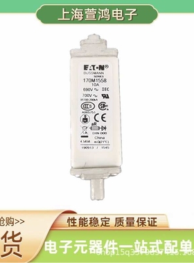 170M1572D 170M3808D 170M3809D 170M3810D原厂 陶瓷熔断器保险丝
