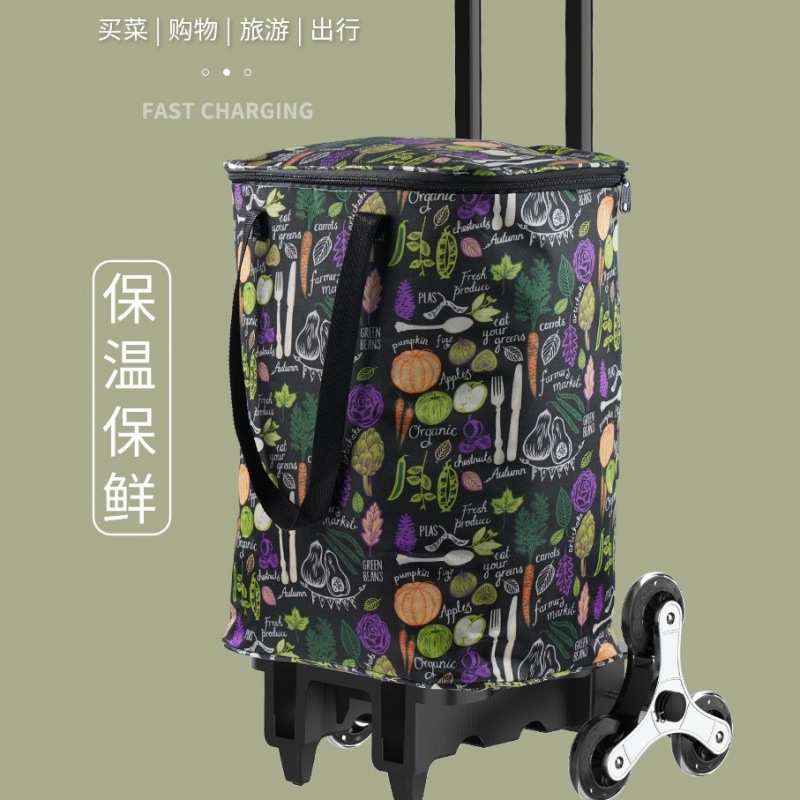 家用可伸缩折叠买菜小拉车拉杆购物可爬楼行李车超市手拉包大容量
