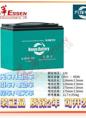 48V/组6-EVF-45H 12V45AH万洋蓄电池观光车扫地车牵引车电动车