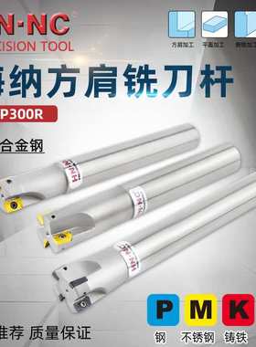 海纳TAP300R-C10-10-100方肩铣铣刀杆立铣刀杆90度直角立铣刀杆