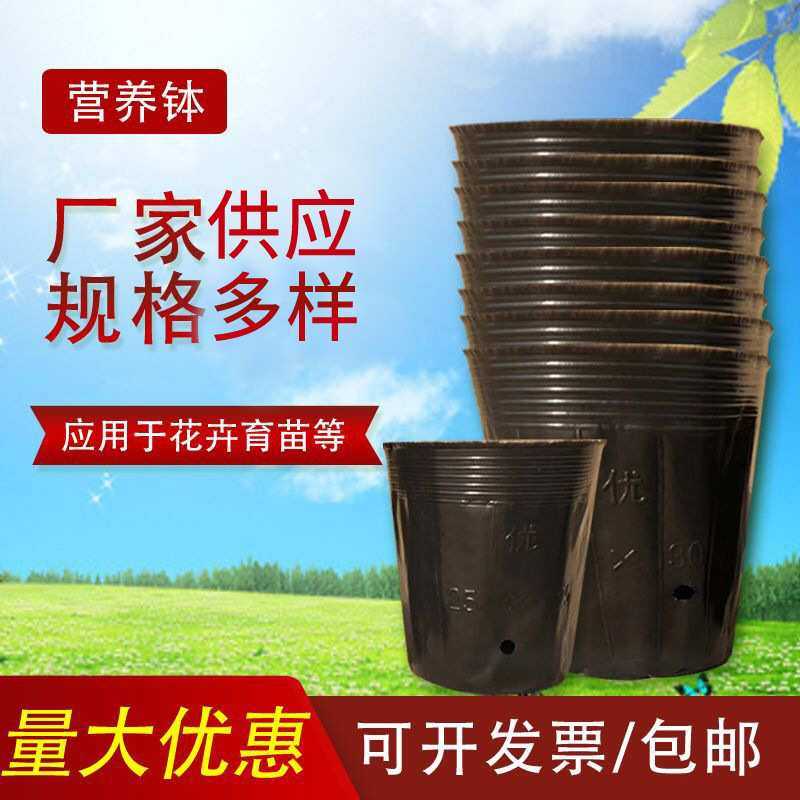 营养杯育苗杯大号加厚袋一次性塑料农用西瓜种植柑橘育苗盆营养钵,模玩/动漫/周边/娃圈三坑/桌游,模型制作工具/辅料耗材,淘宝优惠券,粉丝福利购,淘宝优惠卷