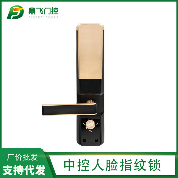 供应中控人脸指纹锁家用面部电子密码锁刷脸防盗门锁指纹锁
