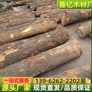 香樟板材香樟原木 供应适用于实木家具雕刻工艺品 国产香樟木板材