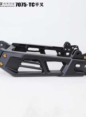 PTENG适用FXT/MZ/NZ/AE2/EZ3i/AE5i两轮电动车pt后平叉