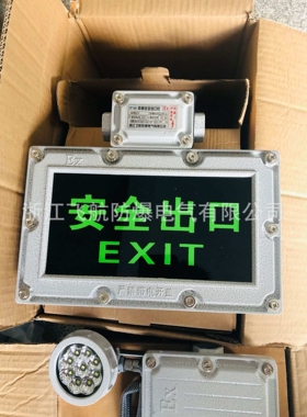 防爆双头应急灯，BAJ52防爆应急灯