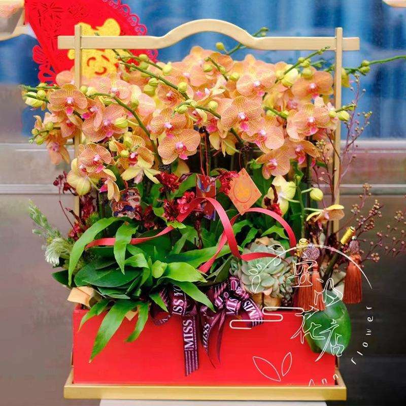 新中式四方来财铁艺客厅桌面冬青蝴蝶兰盆银柳年宵花金属花器花篮