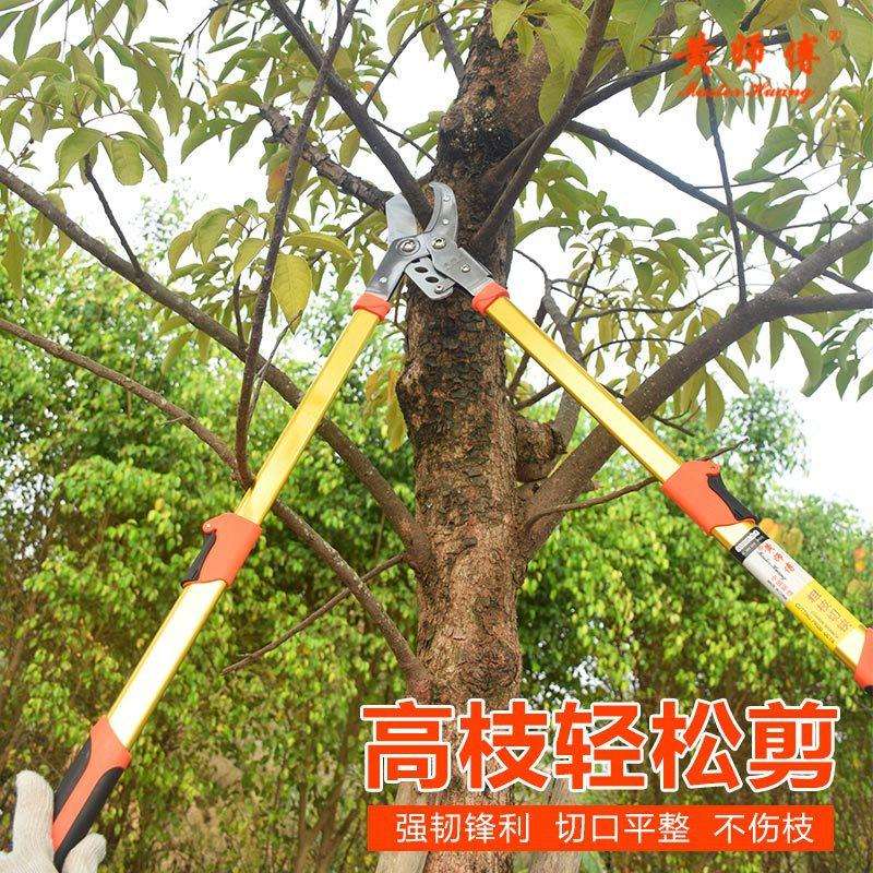黄师傅伸缩粗枝剪果树修枝剪大力士伸缩树枝剪