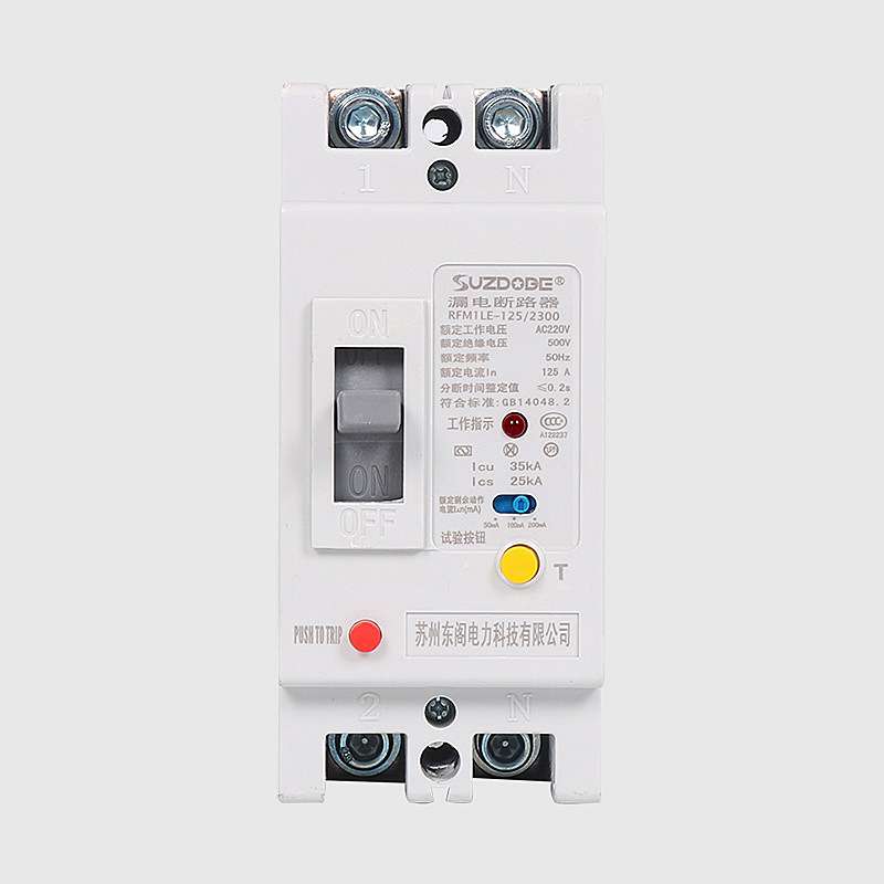 2P塑壳漏电保护器 单相100A125A 225安250A 220V带漏电断路器开关
