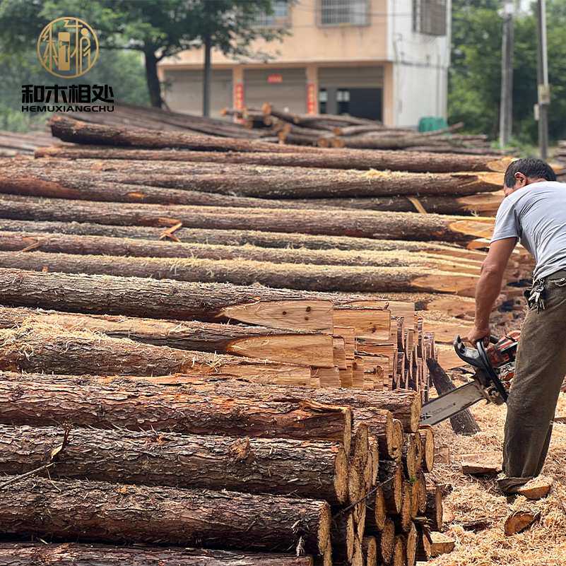 工厂直发杉木桩木水利工程用木桩绿化杆防汛原木圆木杉木原木