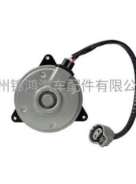 源头厂家 168000-1070 16363-0P100 16363-0P160 汽车风扇电机