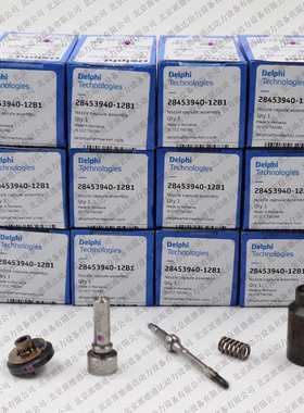 德尔福 28453940 L504PBK 油嘴套装用于BEBJ1F11001 BEBJ1F11201