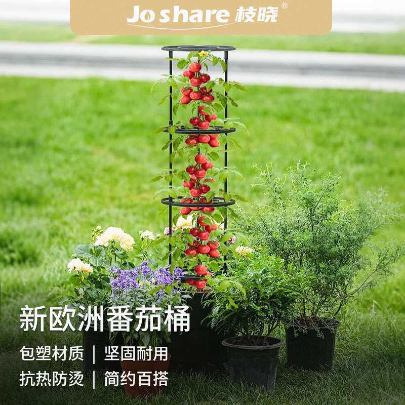 枝晓种植番茄爬藤架植物攀爬架户外花园铁线莲攀爬支撑架跨境