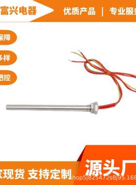 厂家货源PTC单头电热管220V200W冷水机单头加热管 自动恒温电热管