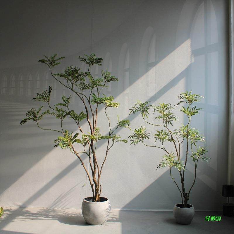 功劳盆栽橱窗落地客厅装饰店铺禅意十大绿植叶下珠物造型