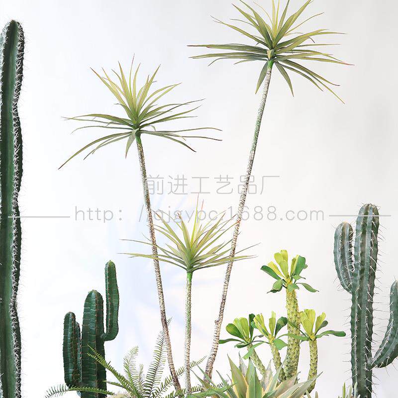 成套绿植设计师套装室内装饰楼梯下植物景观仙人掌造景绿植组合